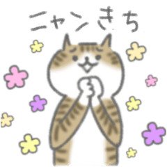 ニャンきち
