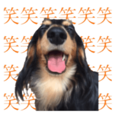 みんみんとてんてん