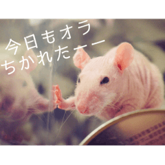 オラ達のいちにち。