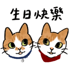 My dear cats - BB & TT