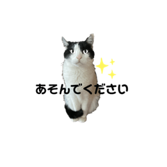 セルのつぶやき