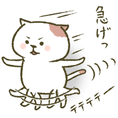 ねこぷりてぃ。2