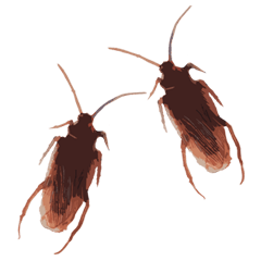 おかしいゴキブリカウンター攻撃-3