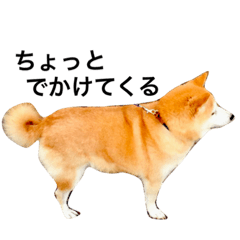 ミミのすたんぷ