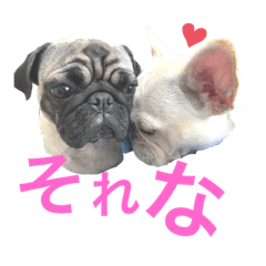 ココムギのそれな