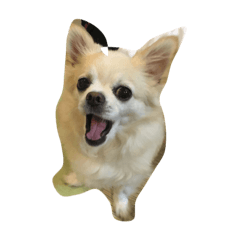 りんちゃん❤️