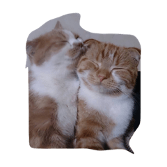 クゥニャンリクニャン