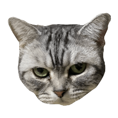 こうすみスタンプ