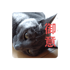 おららさまのひびじゃ