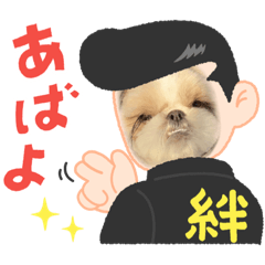 可愛いくっきー