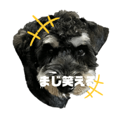 可愛い山下家の家