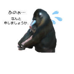 ちょこ&アニモー