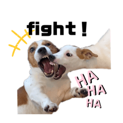 天使たちの日常スタンプ♪