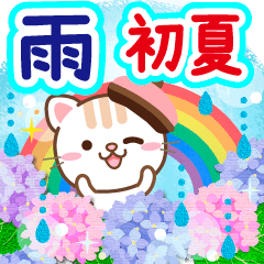 大人のためのねこの初夏と雨の日の気遣い♪