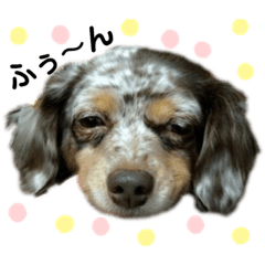 ゆうなのたからもの