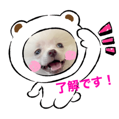 バカ犬わたあめ