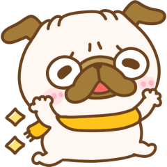 冬のパグちゃんず♡