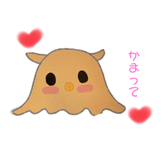 可愛いメンダコ❤️