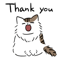 長毛キジトラ白トビにゃんこ(英語)