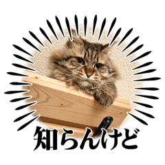 ナナᒼᑋªⁿの日常スタンプ