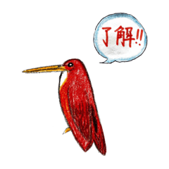 私たちは鳥さんです。