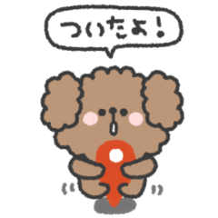 トイプードルさん◎家族連絡用 #1