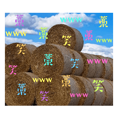 みやちゃん牧場