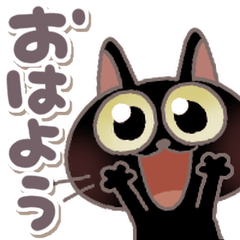 黒ねこの黒豆ちゃん