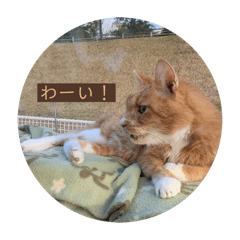 一日一日を生きる