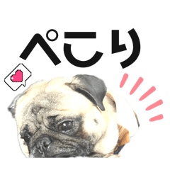 ちくわ&おもち♡ すごくシンプルご挨拶編