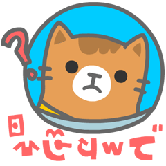 Kittensisland cat daily expressions V03