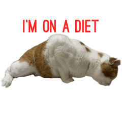 For Arianna's English skills Stamps