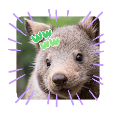 ウォンバット越前