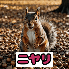 りすのリアクションスタンプ