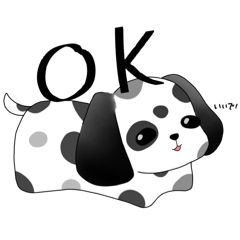 DOG（White and Black）
