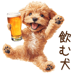 ビールを飲む犬☆トイプードル