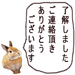 温かい言葉のウサギ