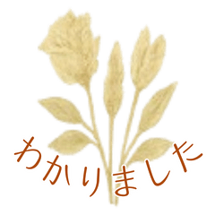 ドライフラワーのある暮らし