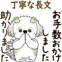 動くシーズー犬 2025 「丁寧な長文」19