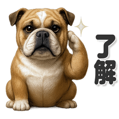 毎日使える！かわいいブルドッグ
