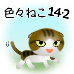 色々な猫14-2 短毛-垂れ耳-キジトラ白