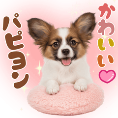 いつでも使える♡パピヨンのスタンプ
