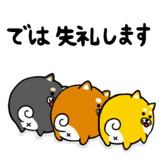 ころいぬ 敬語編