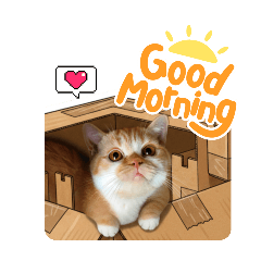 PikeW_20251114223311