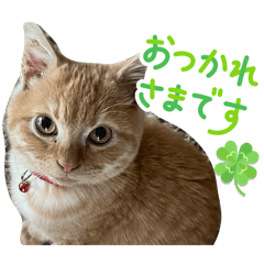 鈴木家のてんちゃんスタンプ