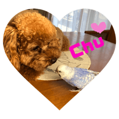 ウチの子スタンプ～MOPUN&LOVEと時々…大福