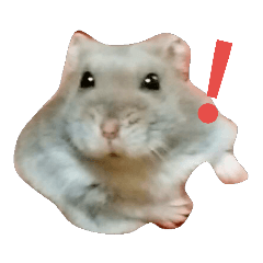 ぷんぷんハムスター