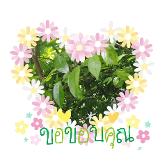 Fatttt_20190818133343