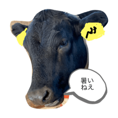 牛さんスタンプ