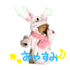 愛されキャラ心々音♡